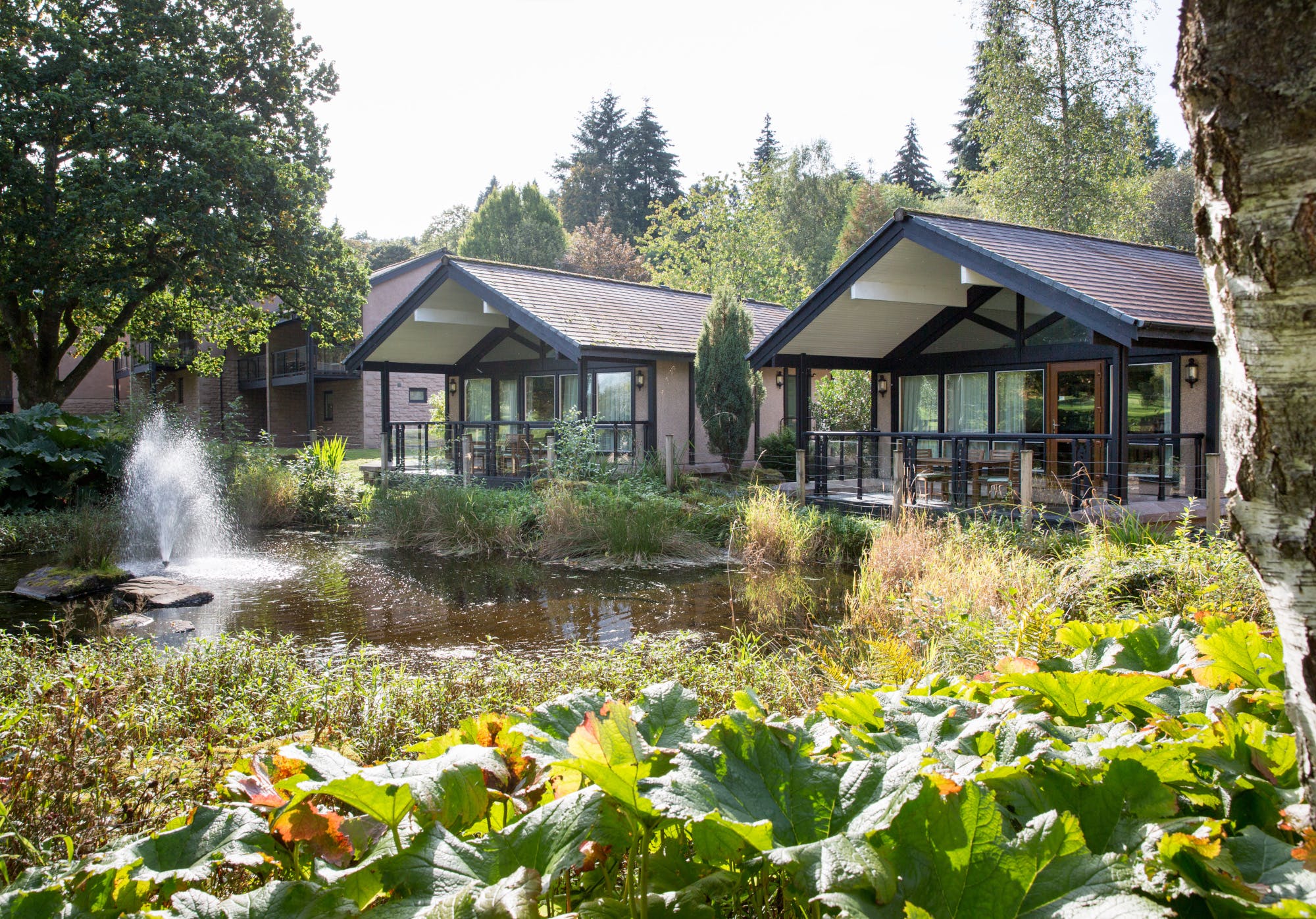 cameron-house-resort-hotel-spa-loch-lomond-scotland-cellophaneland