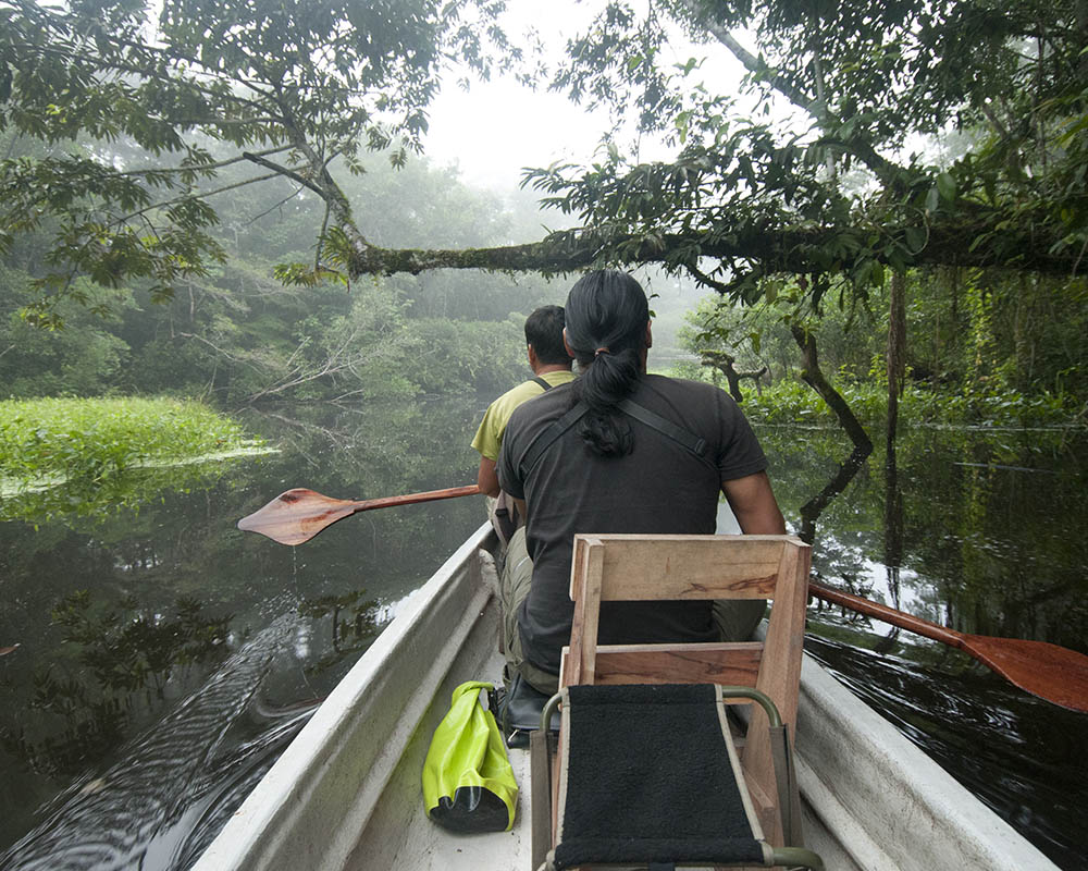 canoe excursion from napo wildlife centre amazon ecuador