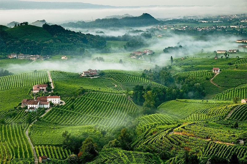 Colline del Cartizze, Prosecco, Garbara, Italy