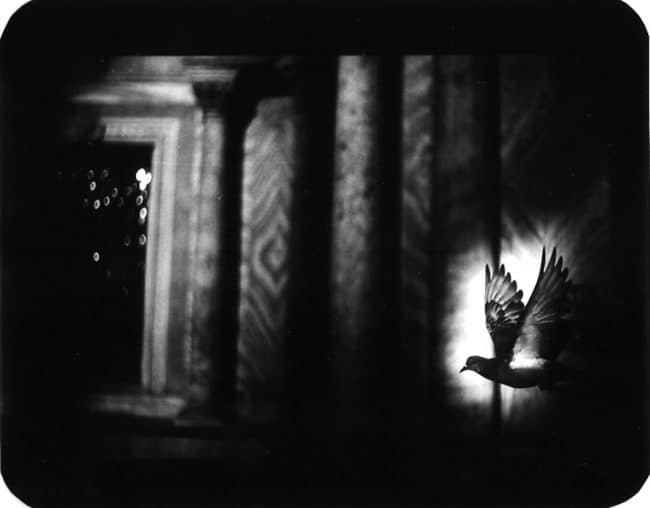 Giacomo Brunelli