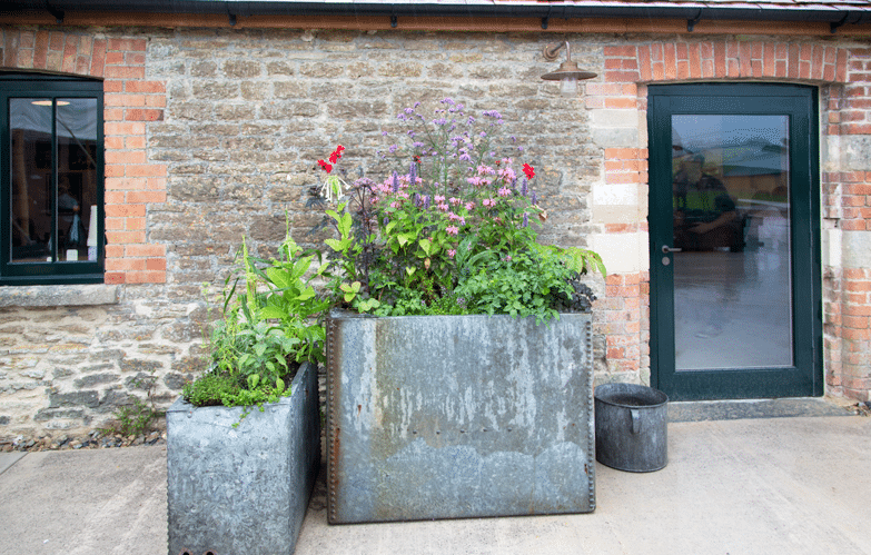 Piet Oudolf Field Durslade Farm