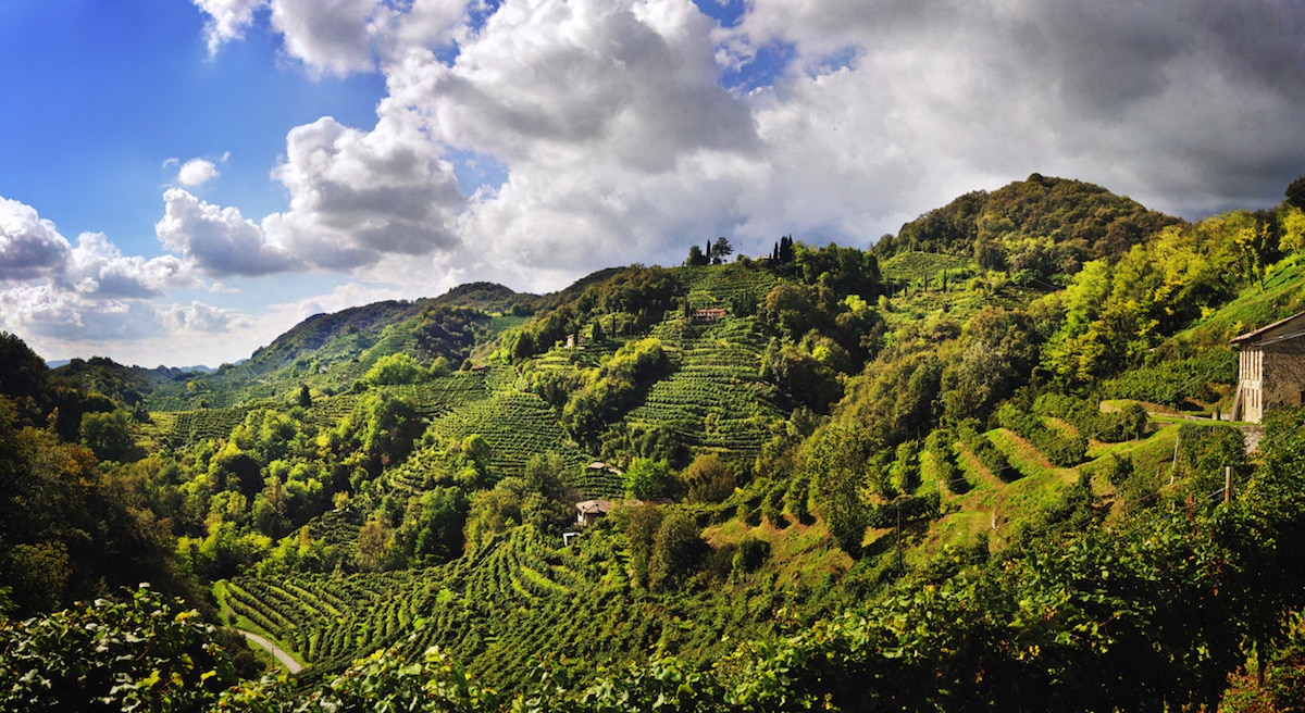 Colline del Cartizze, Prosecco, Garbara, Italy