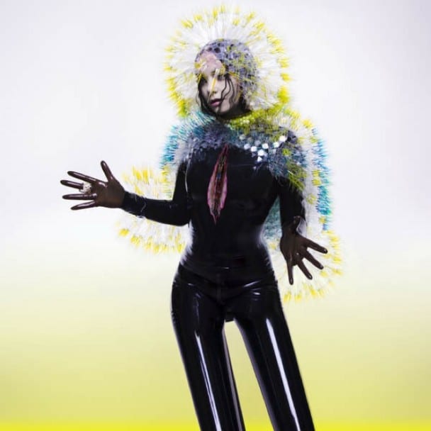 Bjork-Vulnicura Art Vinyl & Belgraves Hotel Best Art Vinyl 2015