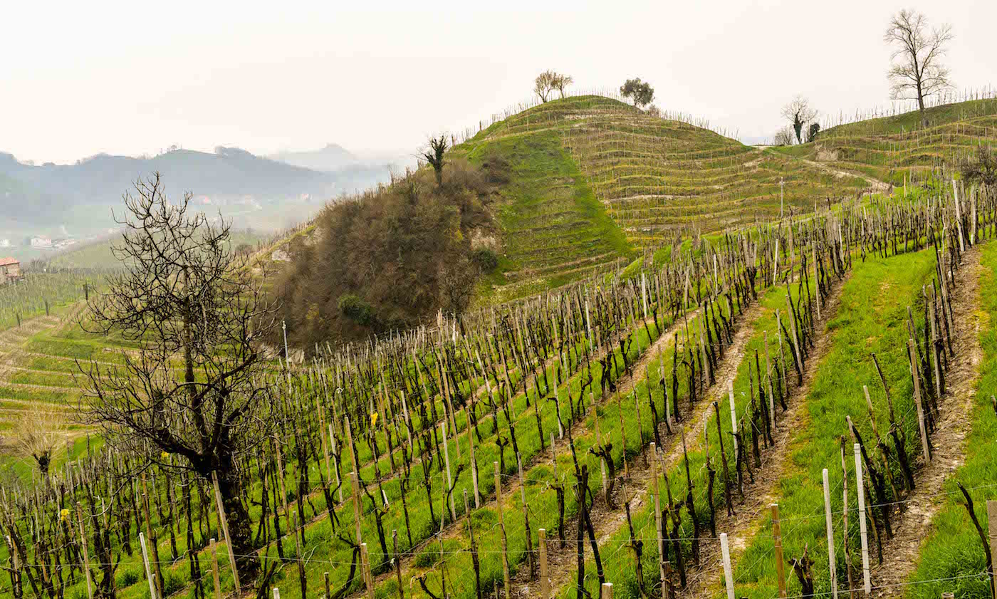 Colline del Cartizze, Prosecco, Garbara, Italy