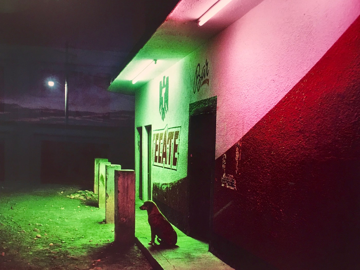 Alex Webb Leica Photo London