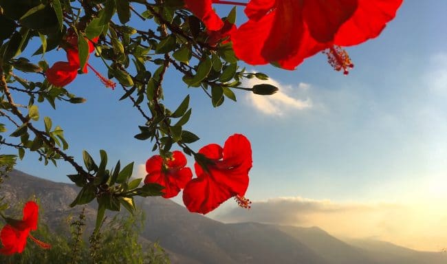 aegialis-hotel-and-spa-aegean-greece Amorgos