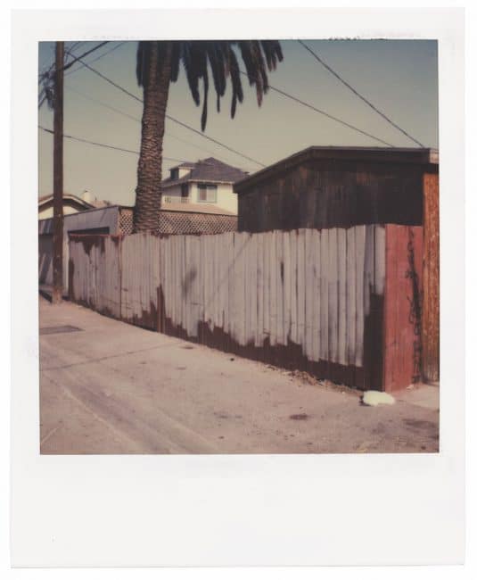 Polaroid Project Dennis Hopper, Back Alley 1987