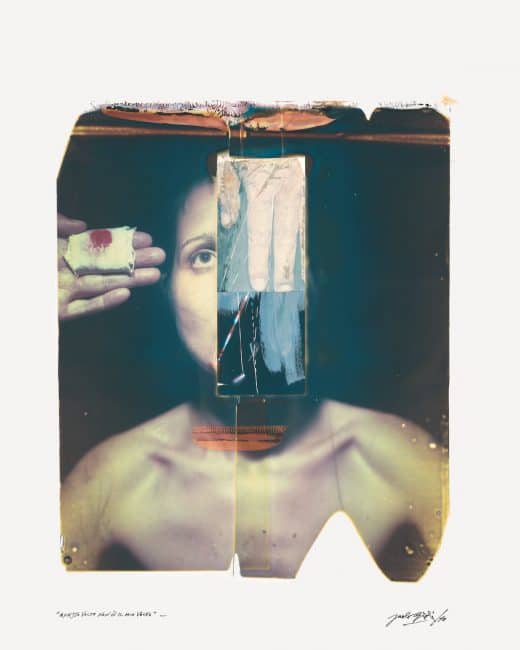 Polaroid Project Paolo Gioli, 2010