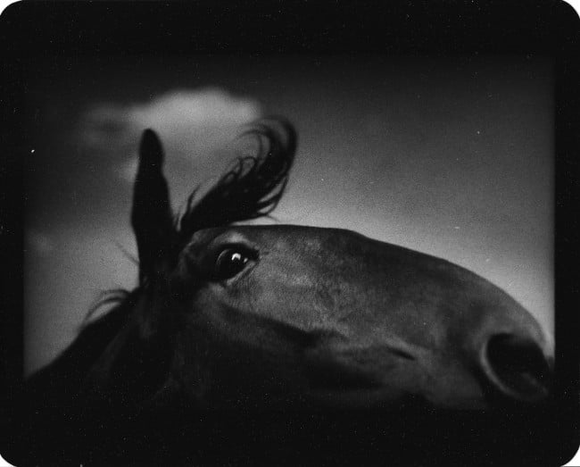 Giacomo Brunelli Untitled_Horse Cloud