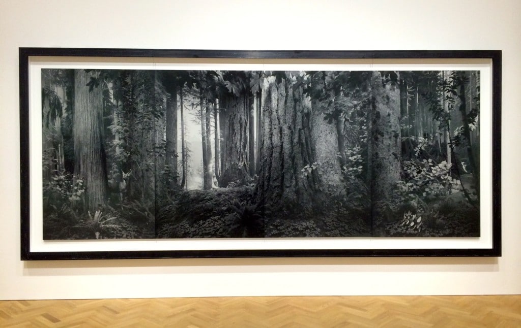 Hiroshi Sugimoto at Pace London