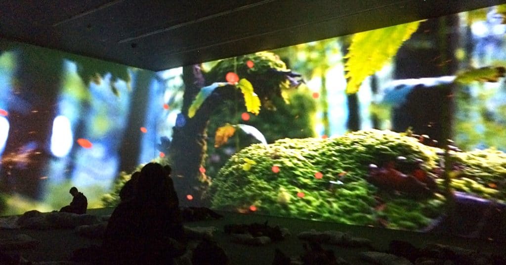 Pipilotti Rist Hauser & Wirth