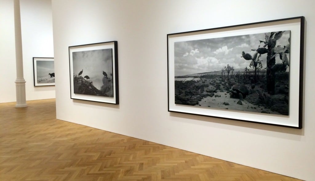 Hiroshi Sugimoto at Pace London