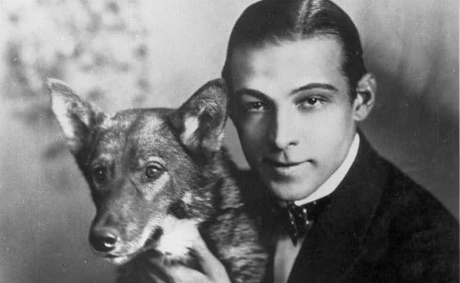 Rudolph Valentino Pet Dog