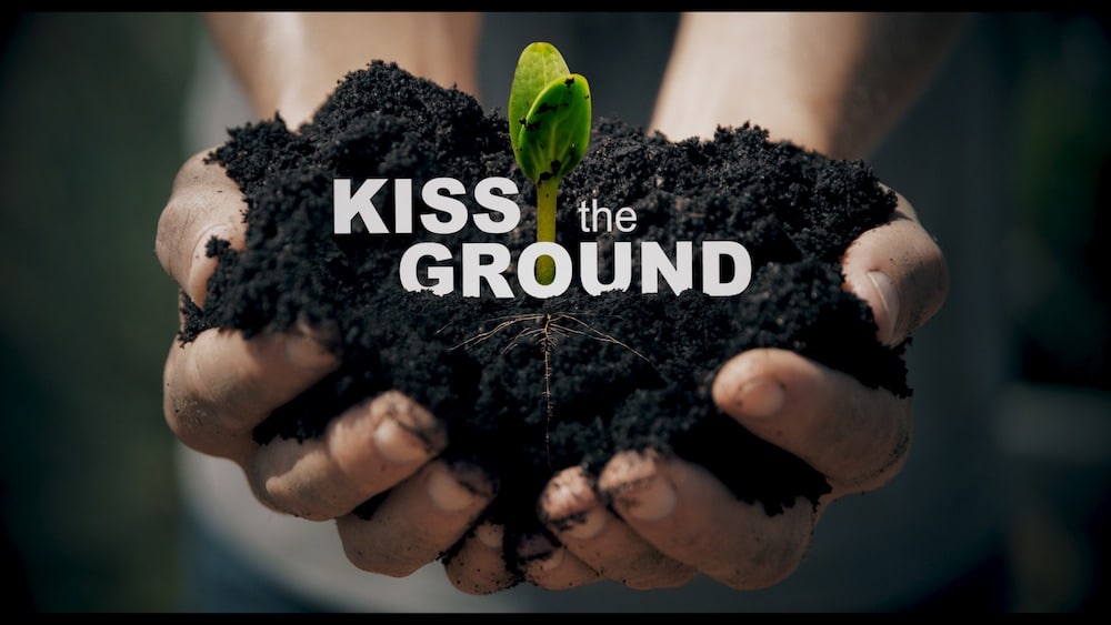 Julian Lennon interview kiss the ground