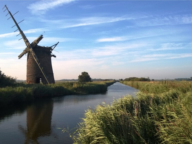 Norfolk Broads Ingham Swan