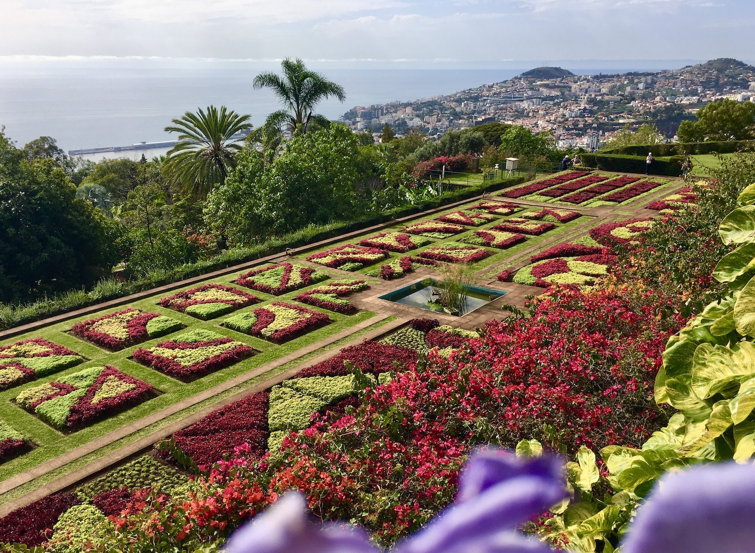 Madeira Botanical Garden