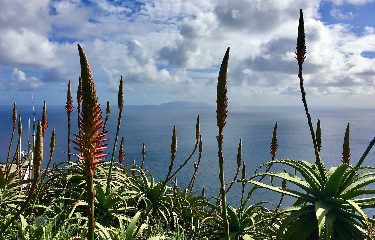 Madeira