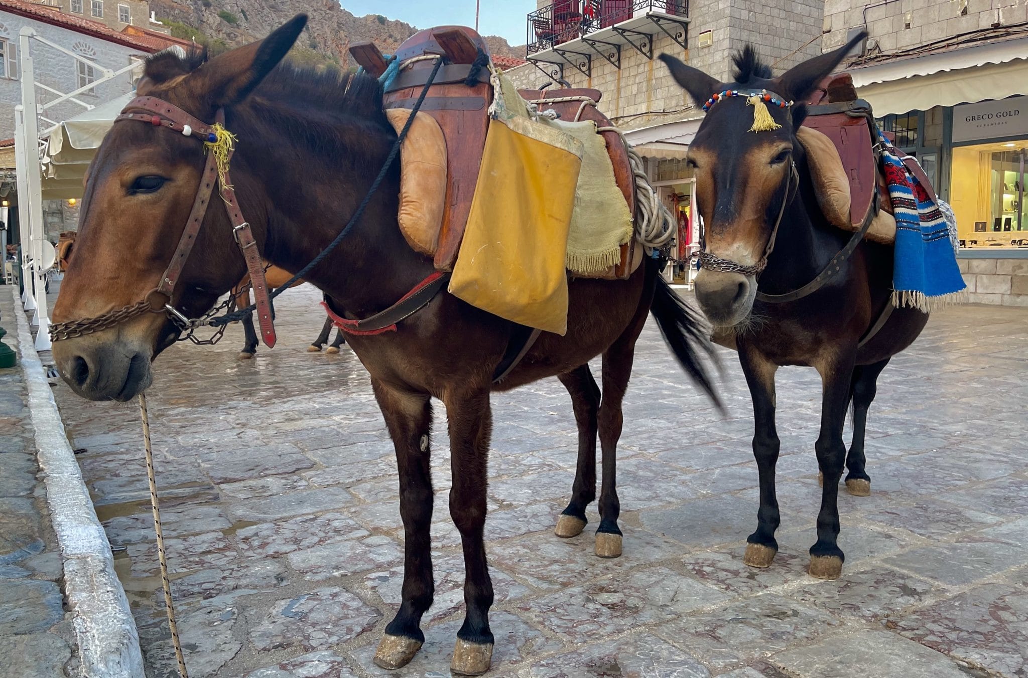 Hydra Mules Hydra Greece