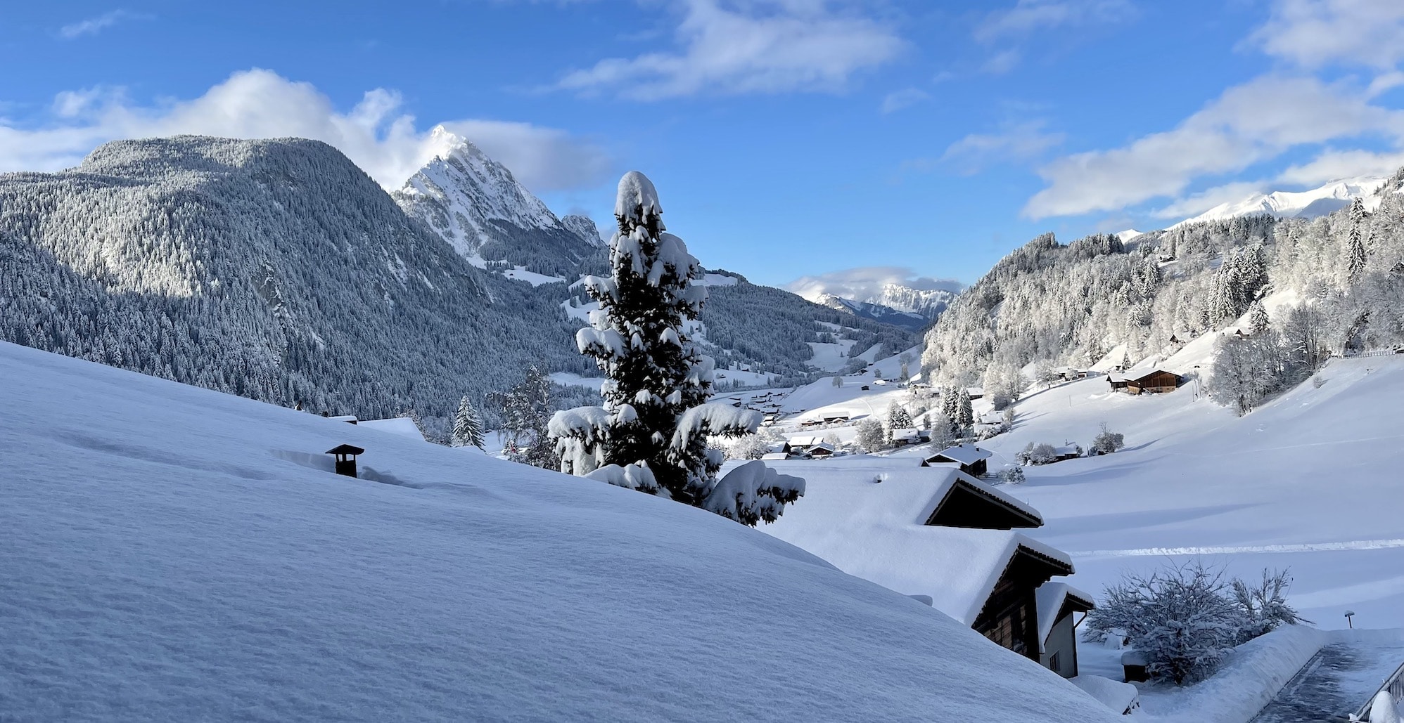 Huus Hotel Gstaad Saanen Switzerland