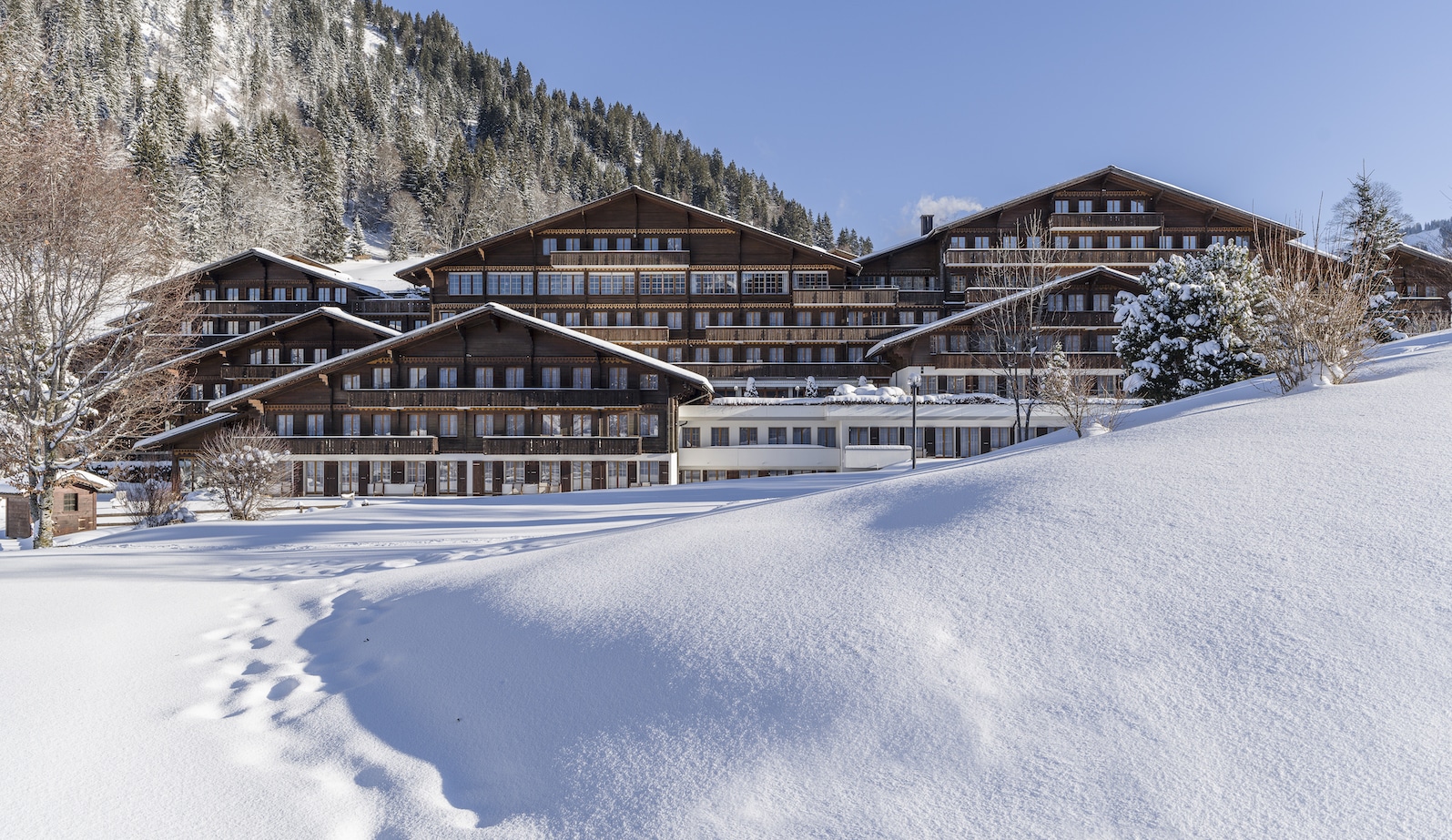 Huus Hotel Gstaad Saanen Switzerland